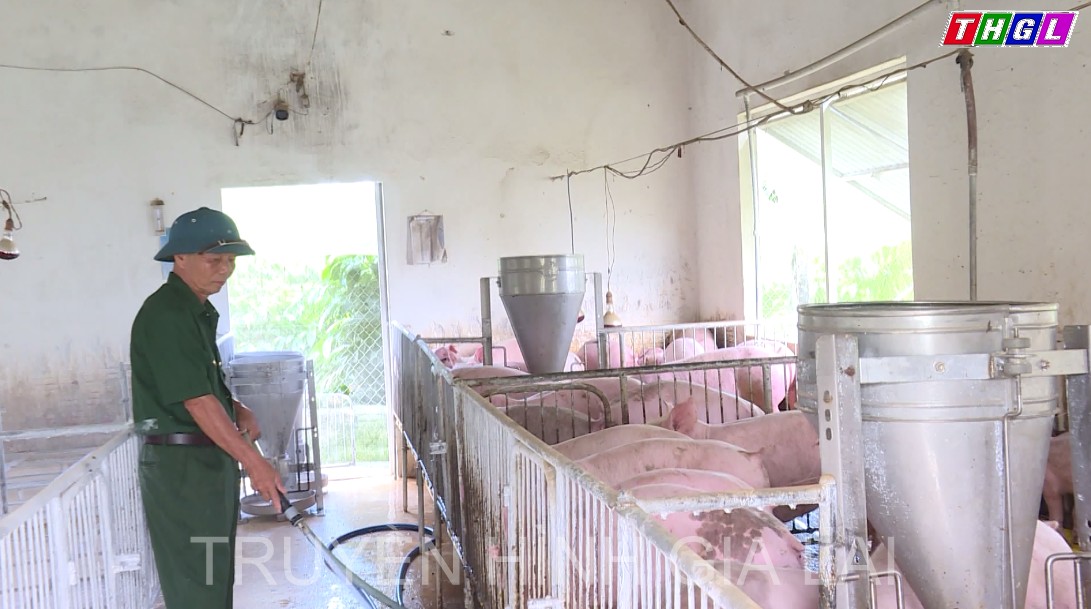 Cán bộ, hội viên cựu chiến binh tỉnh Gia Lai sáng mãi phẩm chất “Bộ đội Cụ Hồ”