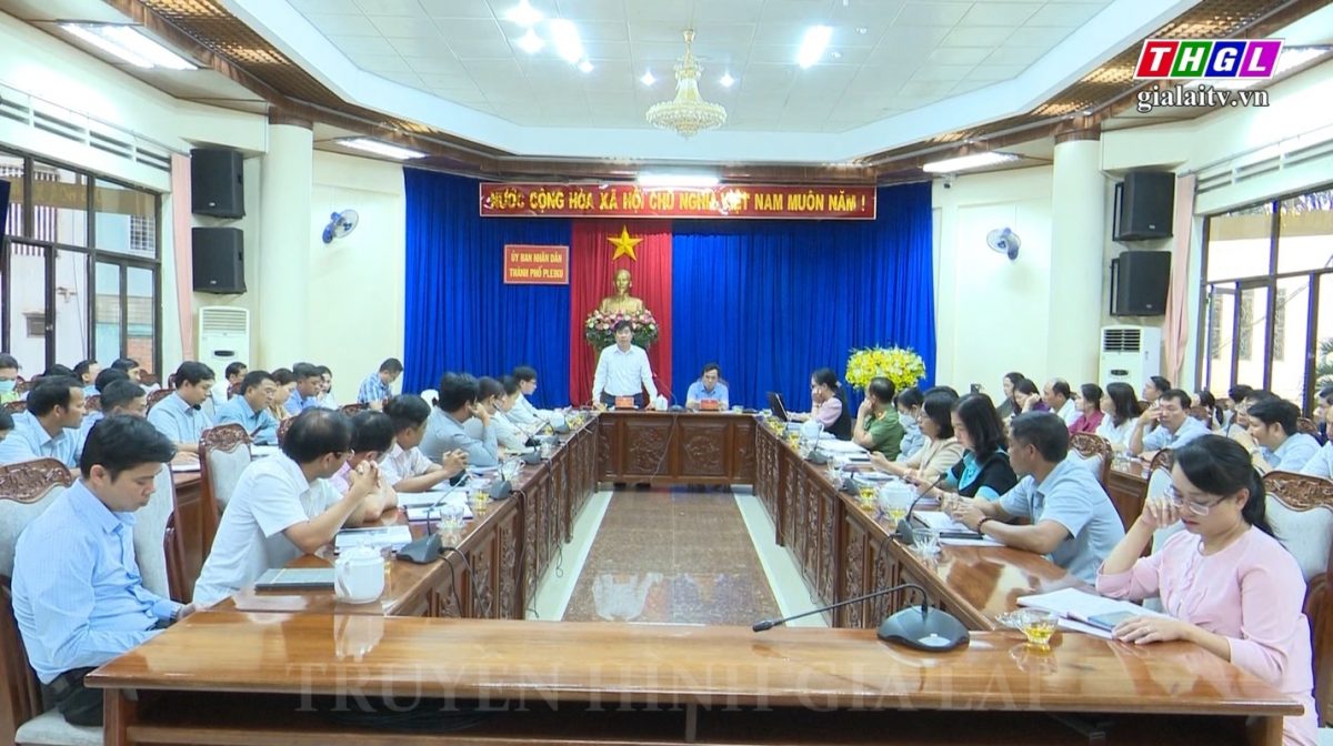 Họp triển khai phát triển BHYT trên địa bàn TP. Pleiku
