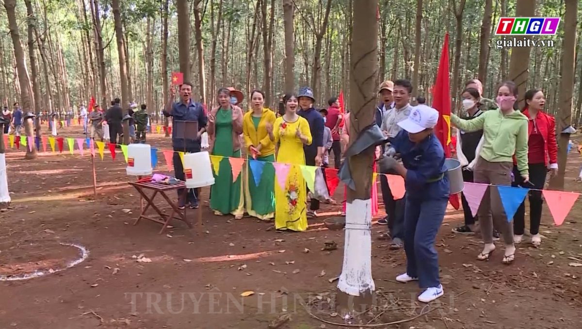 Các đơn vị thuộc Binh đoàn 15 tổ chức Hội thi khai thác mủ cao su năm 2022