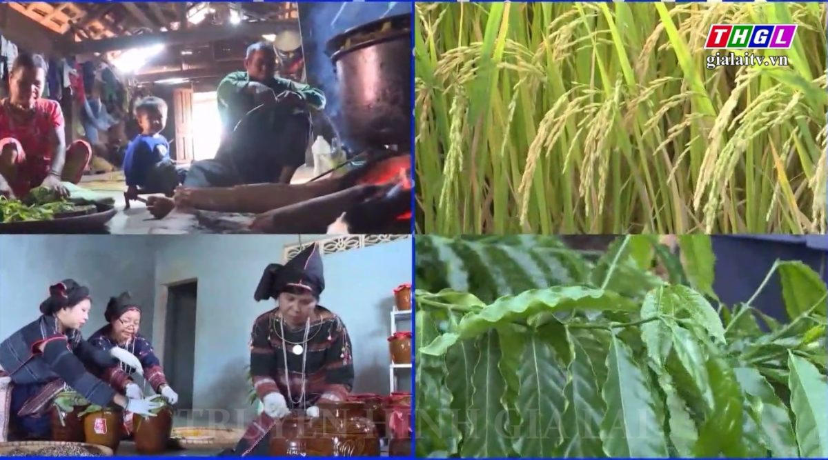 Khi bà con ở các buôn, làng chuyển đổi cây trồng, vật nuôi