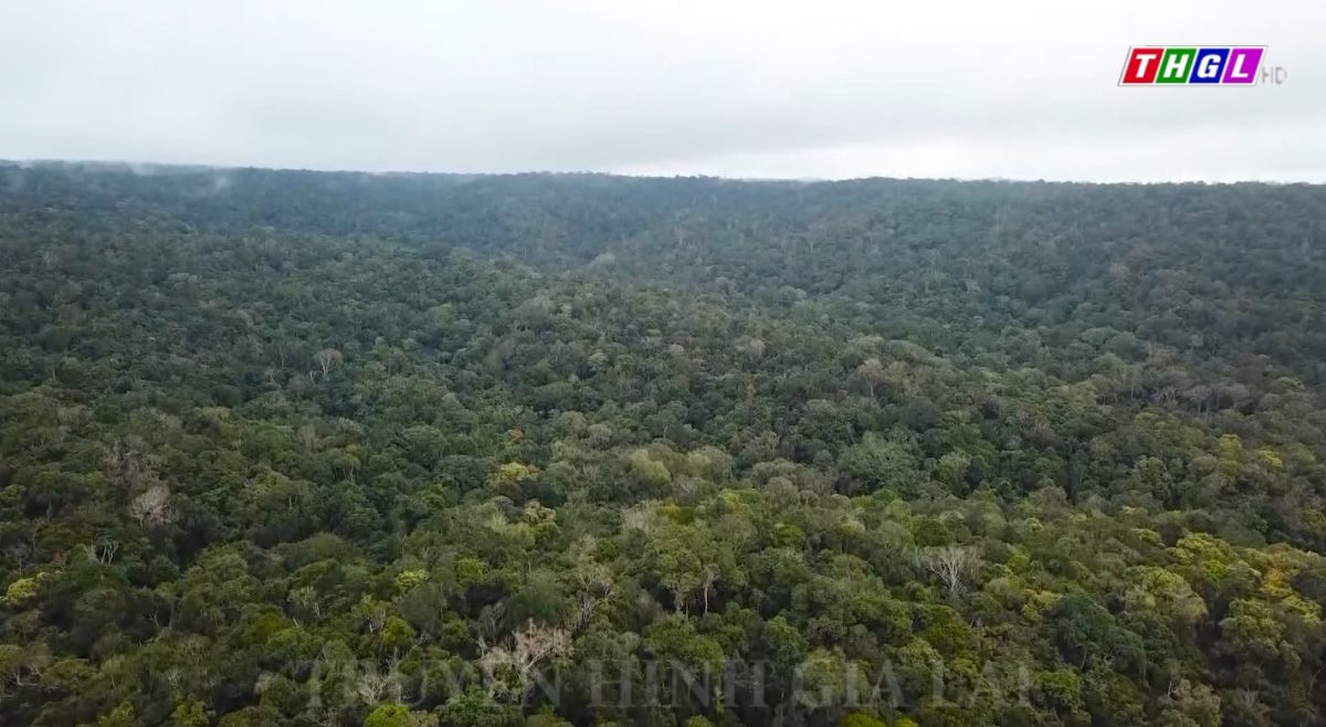 Triển khai thực hiện Quyết định số 687/QĐ-TTg của Thủ tướng Chính phủ phê duyệt Đề án phát triển kinh tế tuần hoàn ở Việt Nam