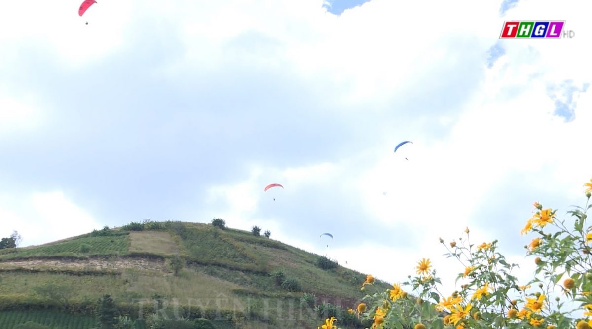 Lễ khai mạc Tuần lễ Hoa Dã Quỳ – Núi lửa Chư Đang Ya năm 2022 diễn ra vào tối nay