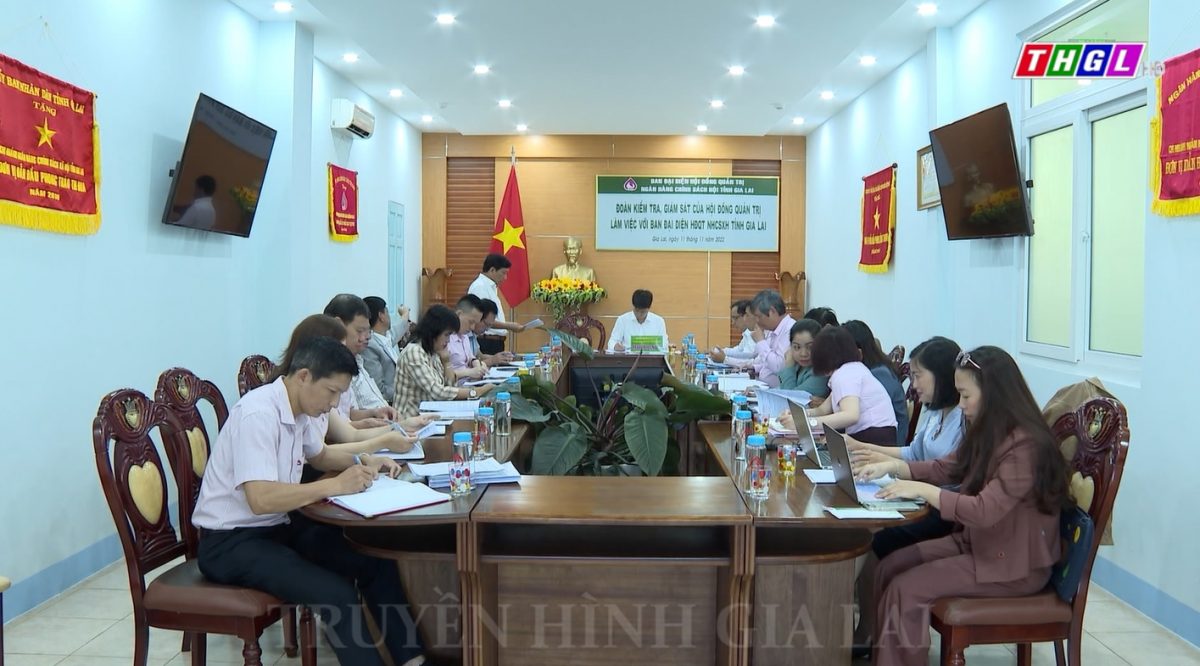 Đoàn kiểm tra, giám sát của Hội đồng quản trị,  Ban đại diện HĐQT Ngân hàng Chính sách xã hội Nhà nước làm việc tại Gia Lai