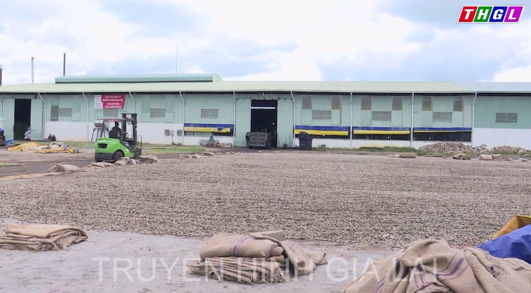 06 nhóm hoạt động thuộc Chương trình hỗ trợ doanh nghiệp chuyển đổi số