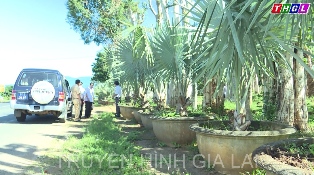 Chấn chỉnh tình trạng vi phạm hành lang an toàn giao thông tại thành phố Pleiku