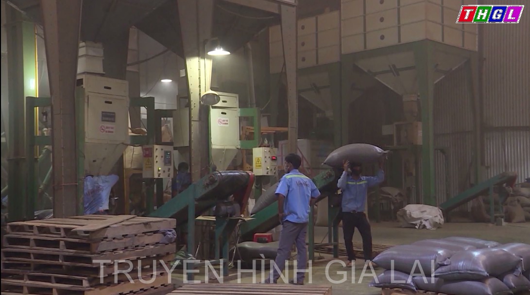 Kim ngạch xuất khẩu của tỉnh Gia Lai năm 2022 ước đạt 660 triệu USD