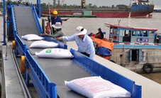 Việt Nam sẽ làm gì để đảm bảo an ninh lương thực quốc gia?