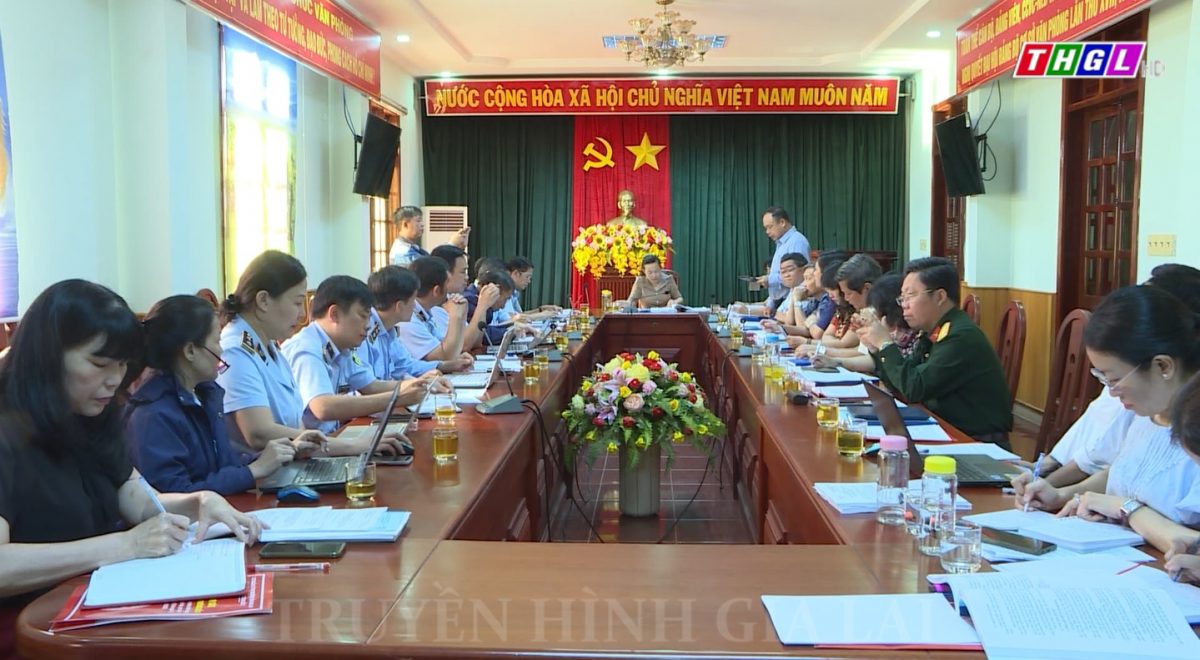 Ban Pháp chế HĐND tỉnh Gia Lai giám sát công tác chống buôn lậu, gian lận thương mại và hàng giả trên địa bàn tỉnh