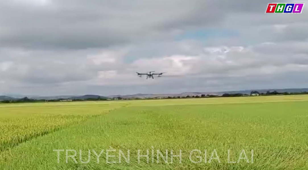 Thay đổi tư duy làm nông nghiệp từ tổ hợp tác công nghệ cao