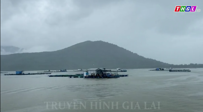 Khánh Hòa: Khó khăn trong ngăn chặn khai thác thủy sản trái phép