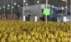 Hoàn thành mở cửa thị trường nhiều nông sản