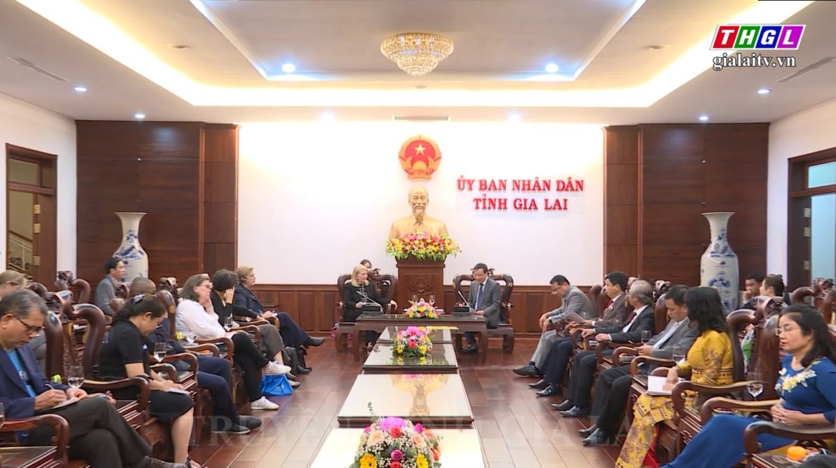 Chủ tịch UBND tỉnh Trương Hải Long tiếp Đoàn chuyên gia của Quỹ Nhi đồng Liên hiệp quốc