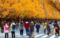 Ngành du lịch thế giới đang “ấm dần”