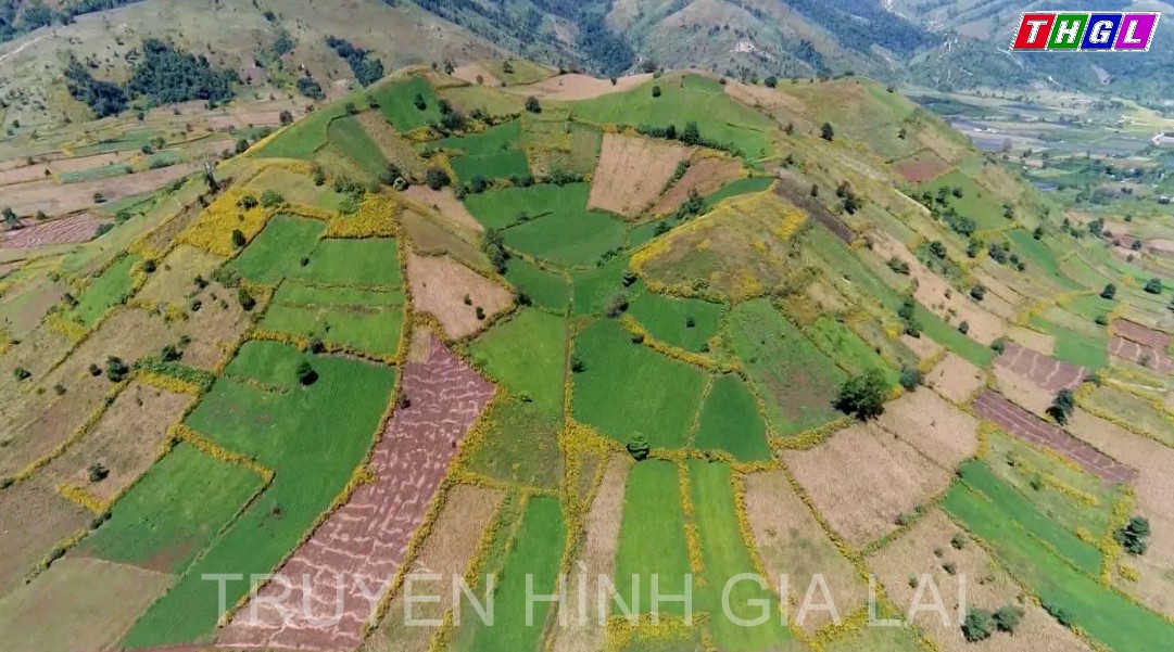 Gia Lai thu hút khoảng 60 ngàn lượt khách du lịch trong tháng 10