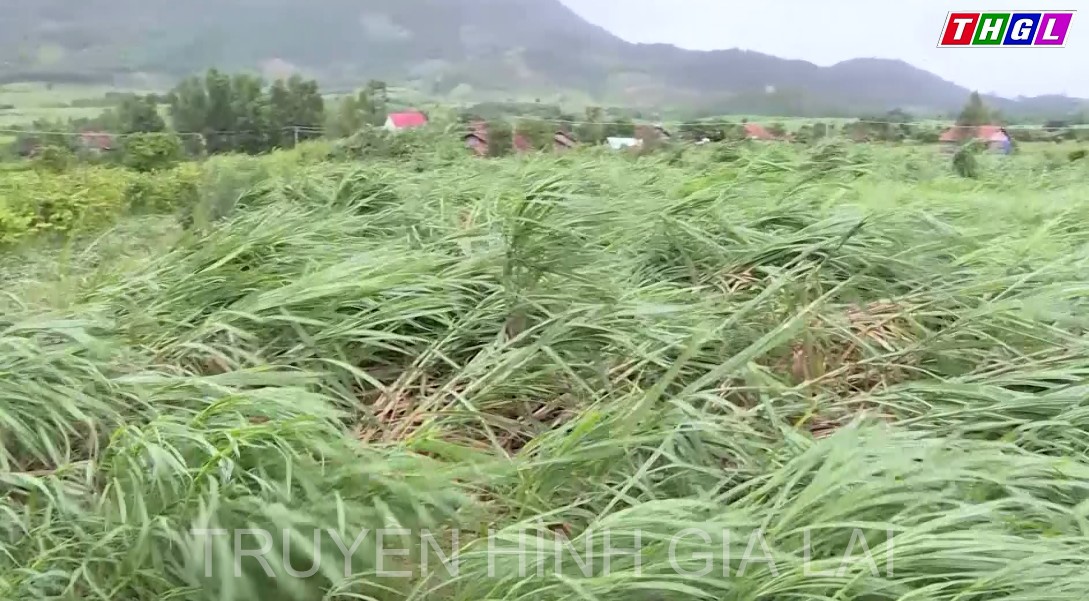 Gia Lai chủ động ứng phó với thiên tai những tháng cuối năm 2022