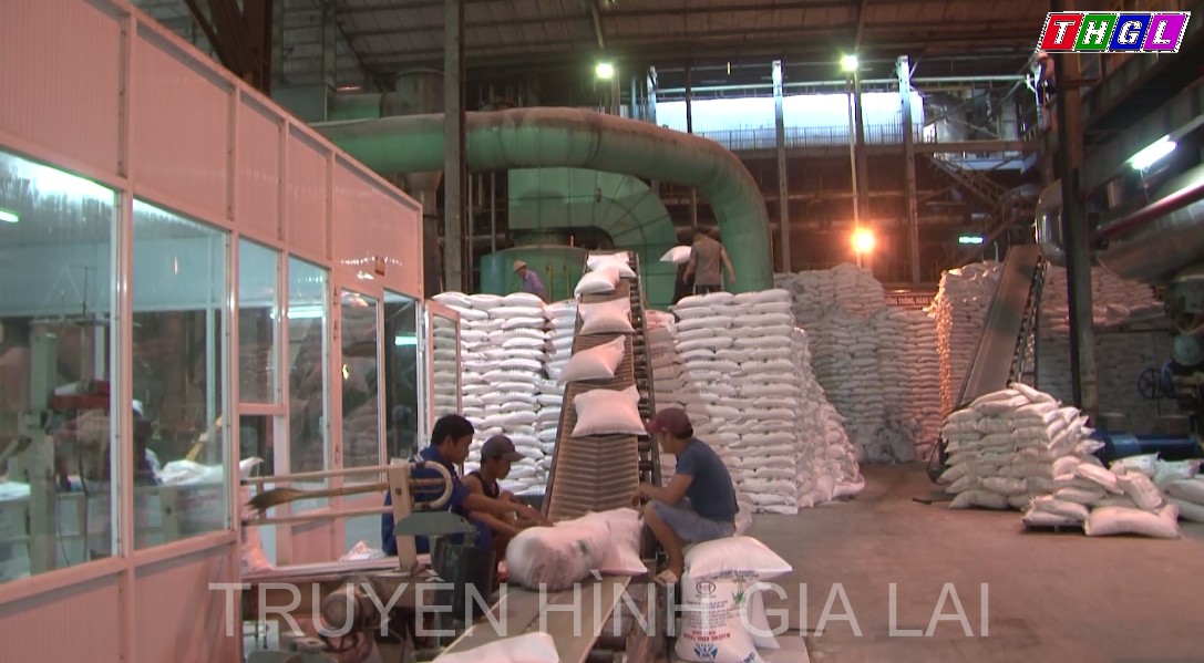 Tăng cường công tác phát triển người tham gia bảo hiểm xã hội, bảo hiểm y tế