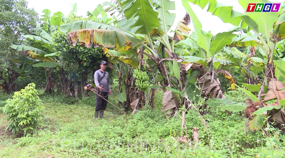 Cựu chiến binh huyện Mang Yang – thi đua làm kinh tế giỏi