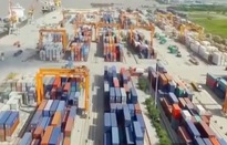 Tăng cường hợp tác thương mại và đầu tư Việt Nam – New Zealand