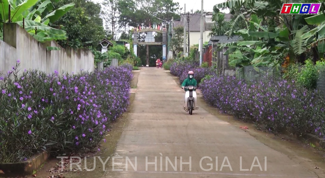 Hội phụ nữ thành phố Pleiku với mô hình “Làng phụ nữ kiểu mẫu”
