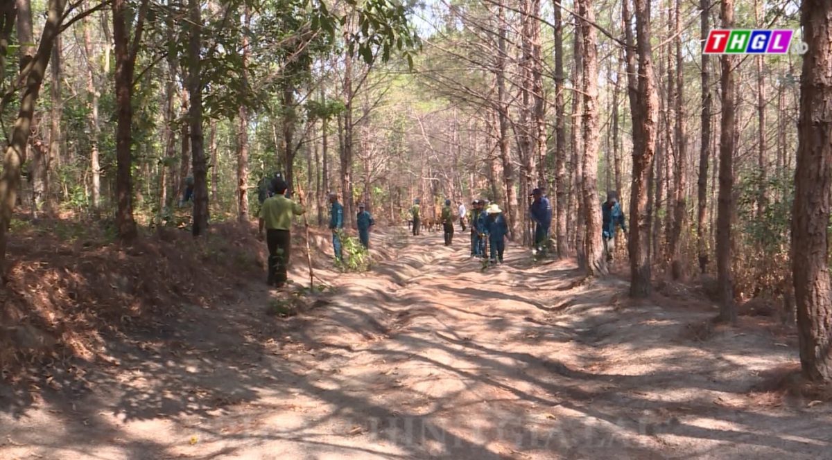 Triển khai thực hiện các biện pháp phòng cháy, chữa cháy rừng mùa khô 2022 – 2023