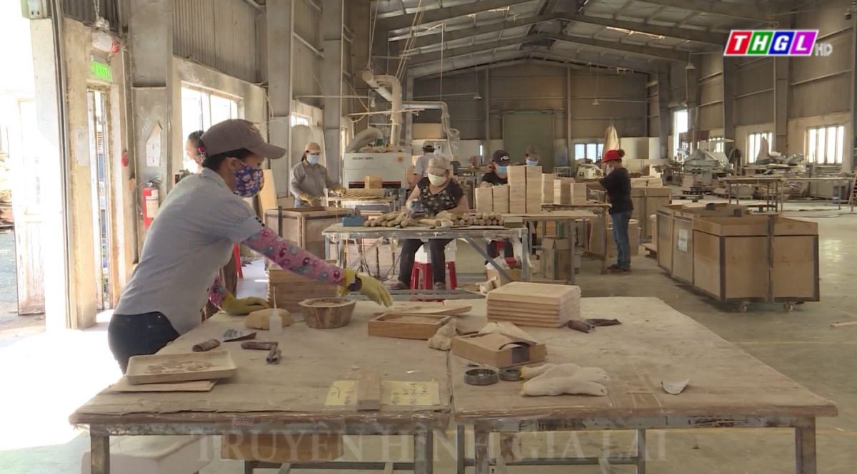 Tỉ lệ lao động tham gia BHXH trên địa bàn tỉnh Gia Lai thấp đáng kể so với tỉ lệ chung của cả nước