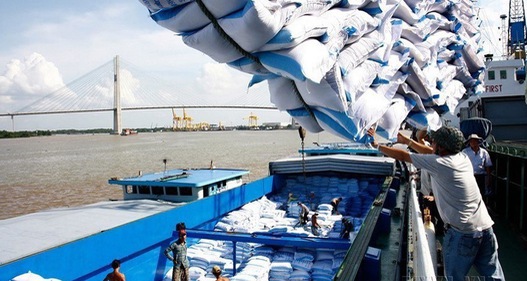 Giá gạo Việt xuất khẩu tăng cao nhất 16 tháng