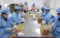 Doanh nghiệp xuất khẩu hướng về “sân nhà”