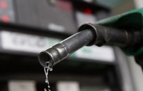 Bộ Công Thương đề nghị các doanh nghiệp xăng dầu nhà nước xuất dự trữ thương mại