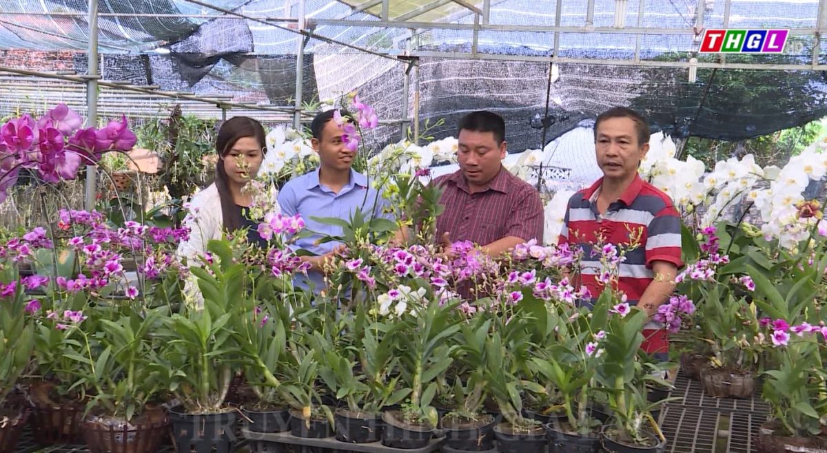 Toàn tỉnh Gia Lai thành lập được 137 mô hình Nông hội