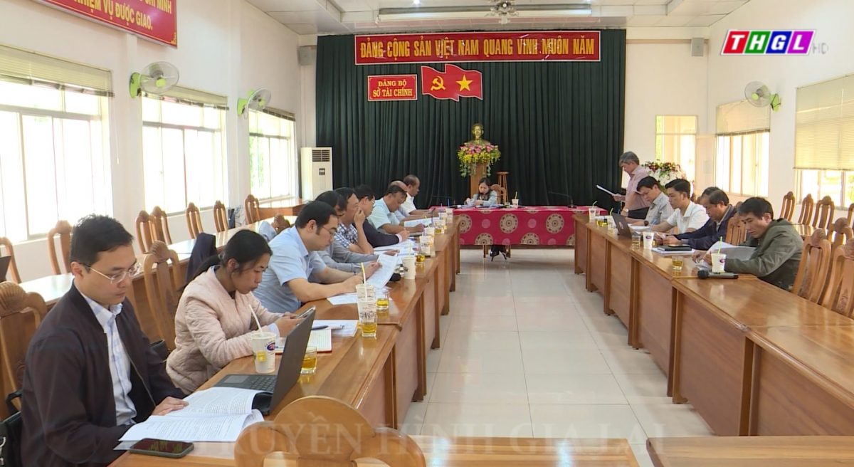 Đoàn đại biểu Quốc hội tỉnh Gia Lai giám sát việc sử dụng nguồn lực phục vụ  công tác phòng chống dịch Covid-19