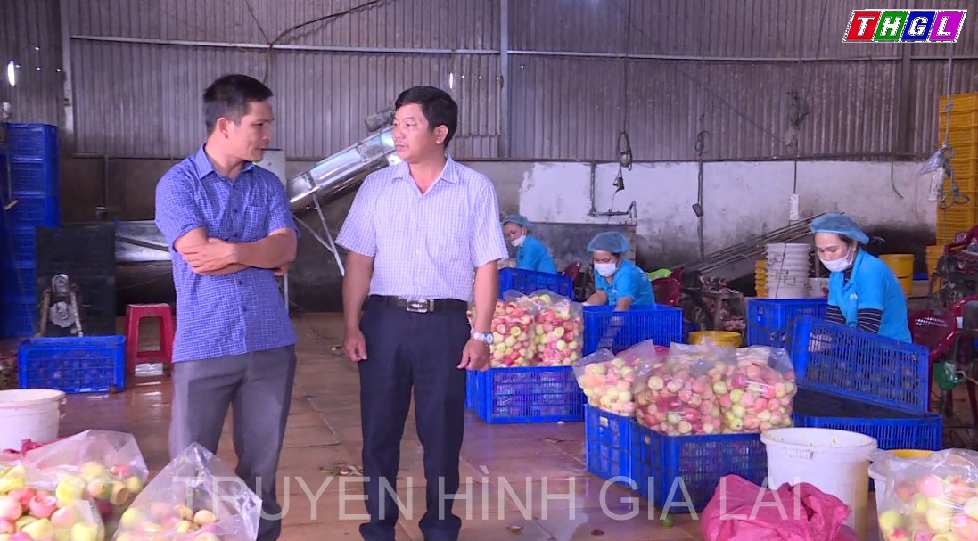 Cựu chiến binh hỗ trợ, tạo việc làm cho người lao động