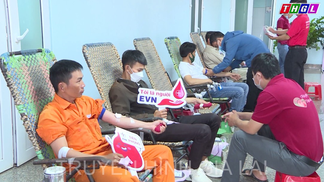 Công ty Điện lực Gia Lai tổ chức hiến máu nhân đạo hưởng ứng “Tuần lễ hồng EVN”