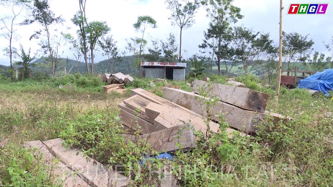 Giai đoạn 2017 – 2021 số vụ vi phạm Luật Lâm nghiệp giảm hơn 2.740 vụ so với giai đoạn trước