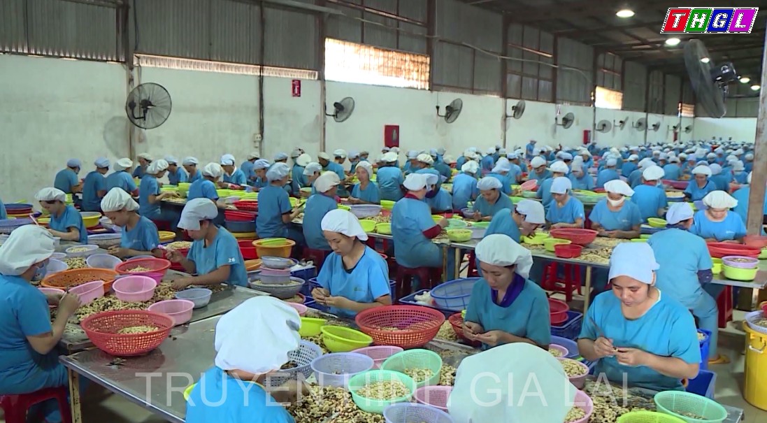 Công nghiệp sản xuất và phân phối điện, khí đốt đóng góp 38,9% tổng giá trị sản xuất công nghiệp toàn tỉnh