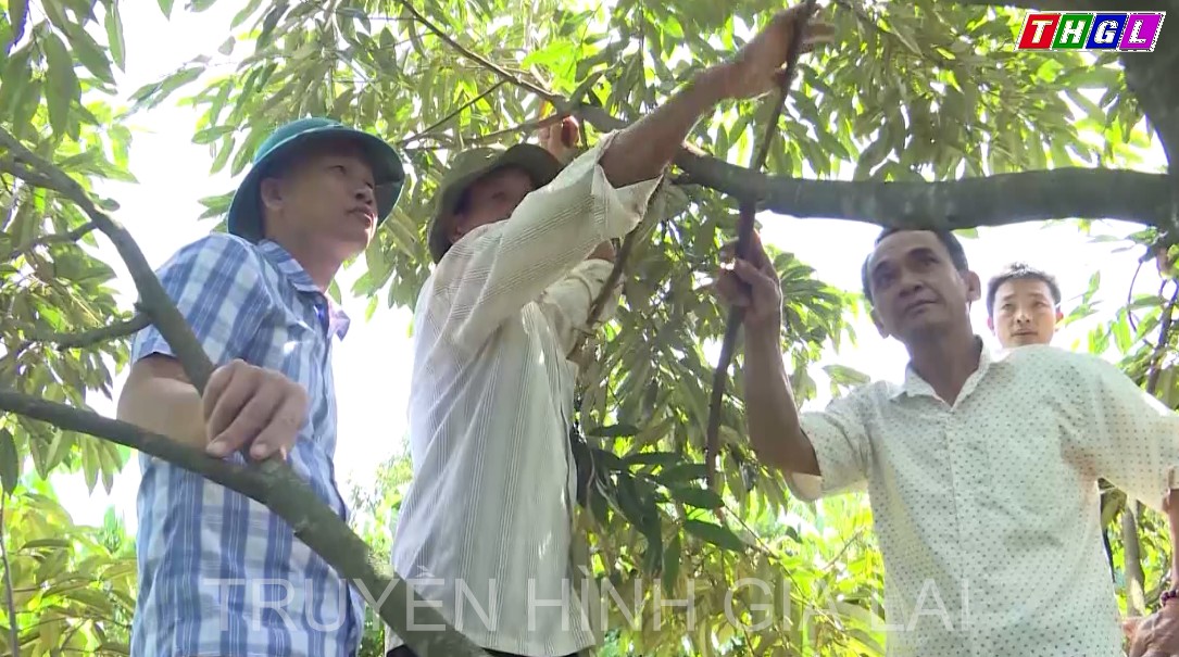 Phát triển các chuỗi liên kết sản xuất hiệu quả