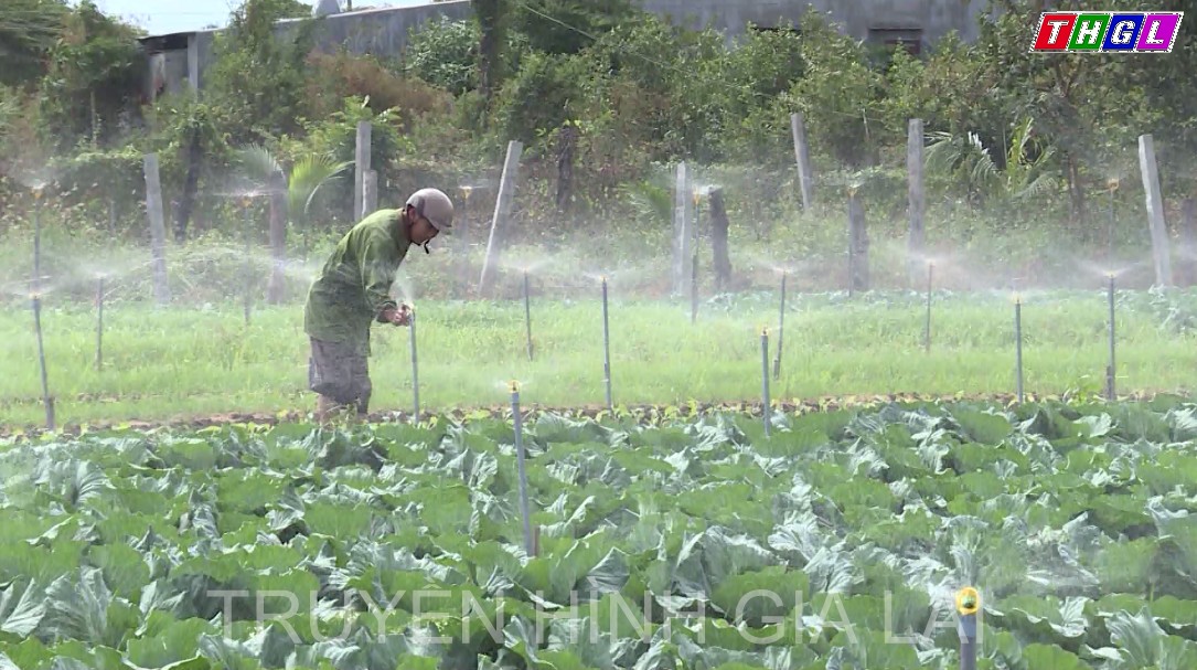 Đẩy mạnh phát triển sản xuất rau, hoa, cây cảnh, cây ăn quả theo hướng nâng cao chất lượng, giá trị gia tăng và khả năng cạnh tranh của sản phẩm