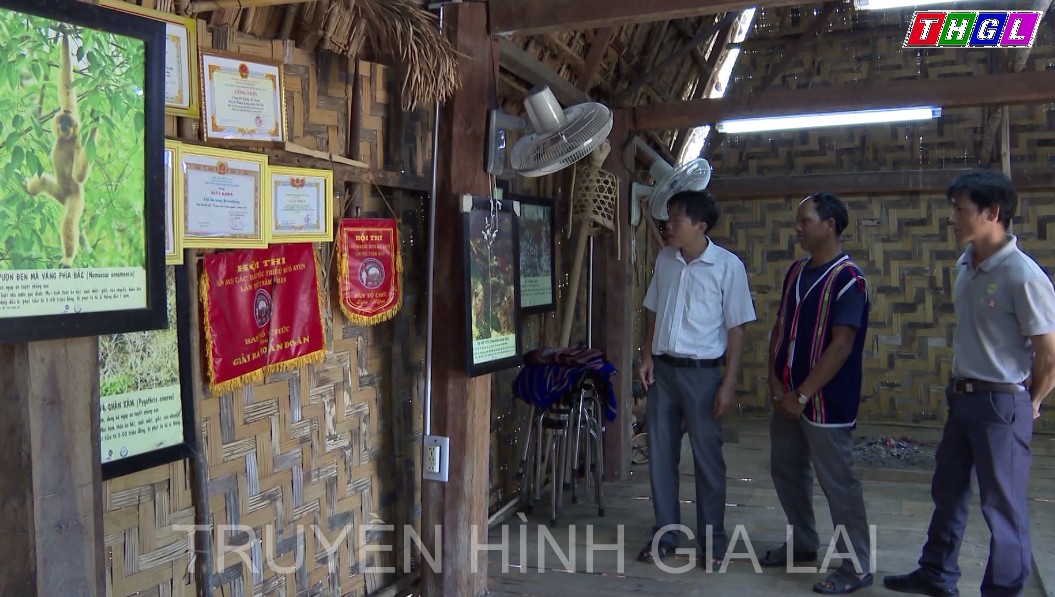 Bảo tồn môi trường thiên nhiên qua hoạt động du lịch sinh thái