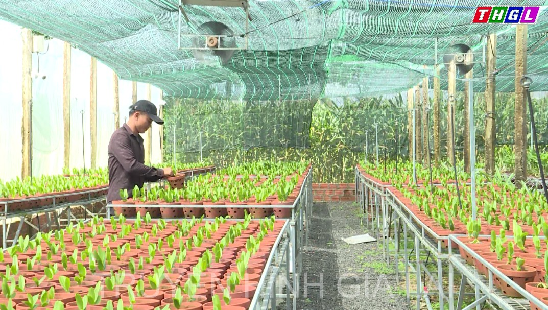 Thanh niên lập nghiệp ở Ayun Hạ