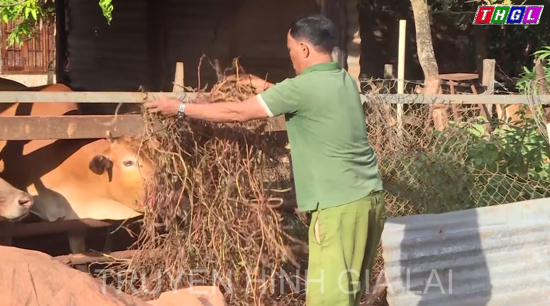 Giúp người dân “thông tư tưởng” tiếp tục tham gia BHYT