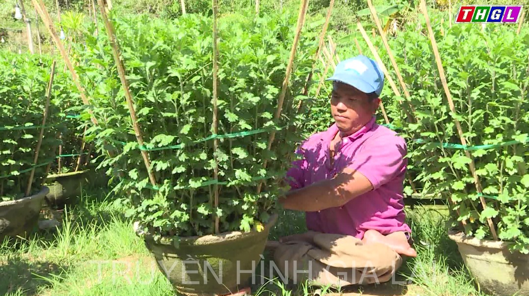 Anh Trần Út Huy – Nghị lực vươn lên của người khuyết tật