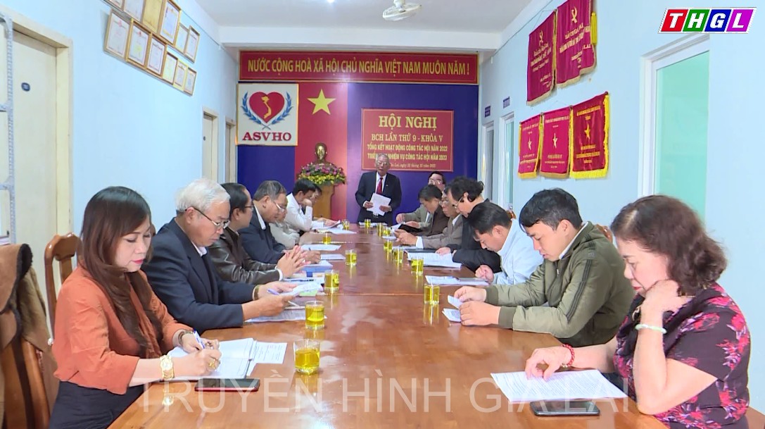 Hội Bảo trợ người khuyết tật và Bảo vệ quyền trẻ em tỉnh tổ chức Hội nghị BCH lần thứ 9 -khóa V