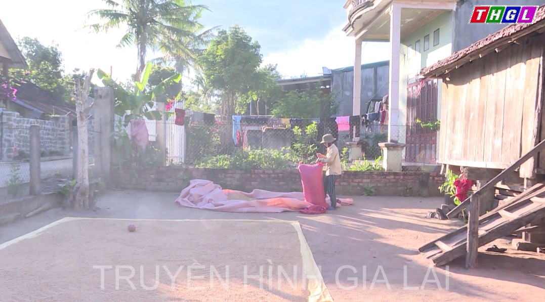 Hội Nông dân tỉnh Gia Lai đạt và vượt nhiều chỉ tiêu năm 2022