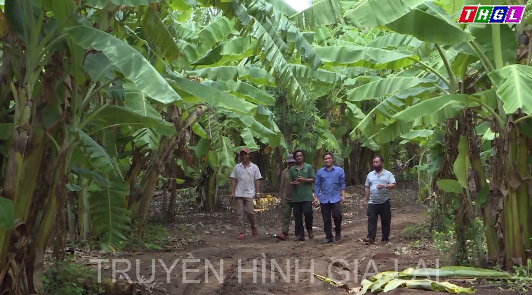 Gia Lai: Năm 2022, nguồn vốn thực hiện chương trình MTQG phát triển kinh tế – xã hội vùng đồng bào dân tộc thiểu số và miền núi là gần 360 tỷ đồng