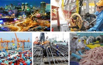 Các Công điện của Thủ tướng đồng bộ, quyết liệt, tạo xung lực mới thúc đẩy kinh tế