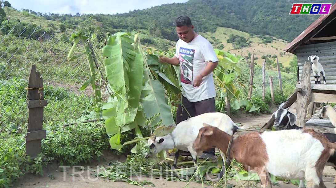 Kbang – Hiệu quả các mô hình giúp đồng bào dân tộc thiểu số vươn lên thoát nghèo