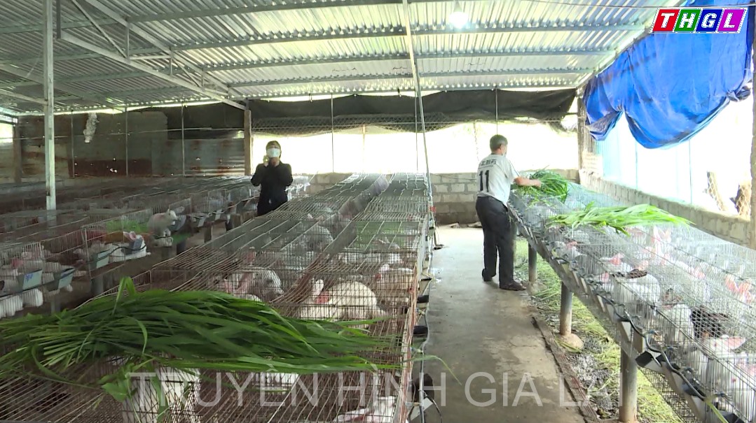 Ia Grai phấn đấu giảm 440 hộ nghèo trong năm 2023