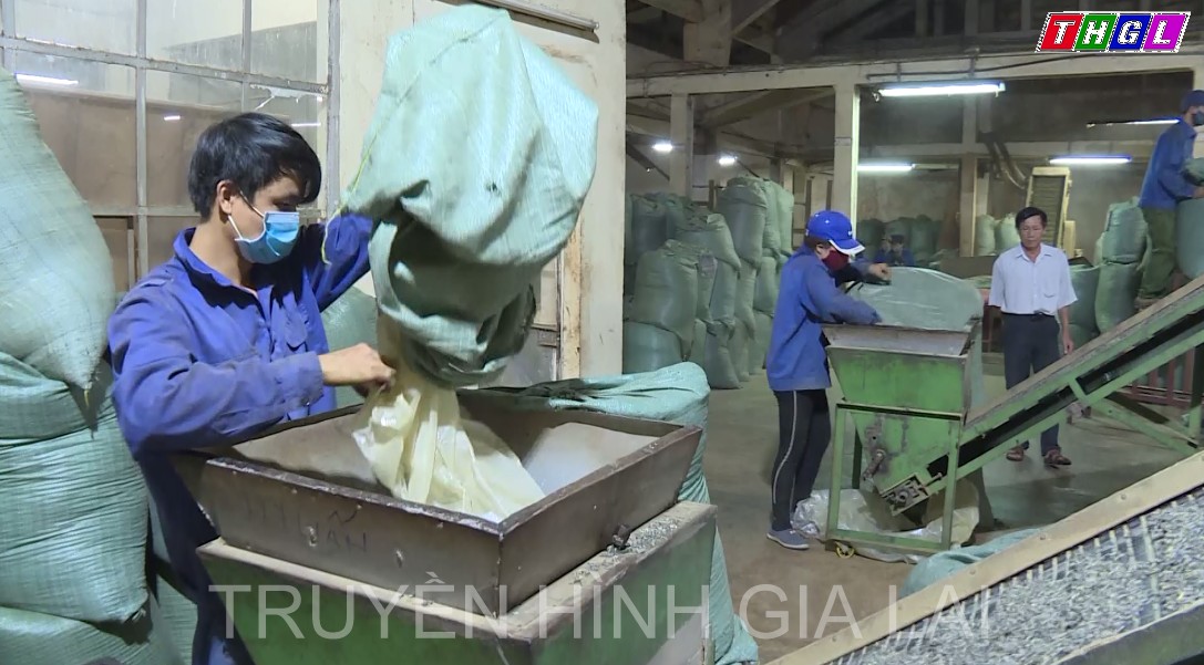 Toàn tỉnh Gia Lai hiện có 64 mô hình điểm về sản xuất, chế biến thực phẩm an toàn