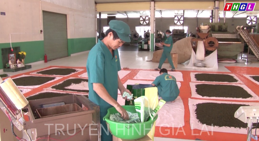 Bảo Lộc đăng ký nhãn hiệu chứng nhận sản phẩm trà, tơ lụa tại thị trường quốc tế