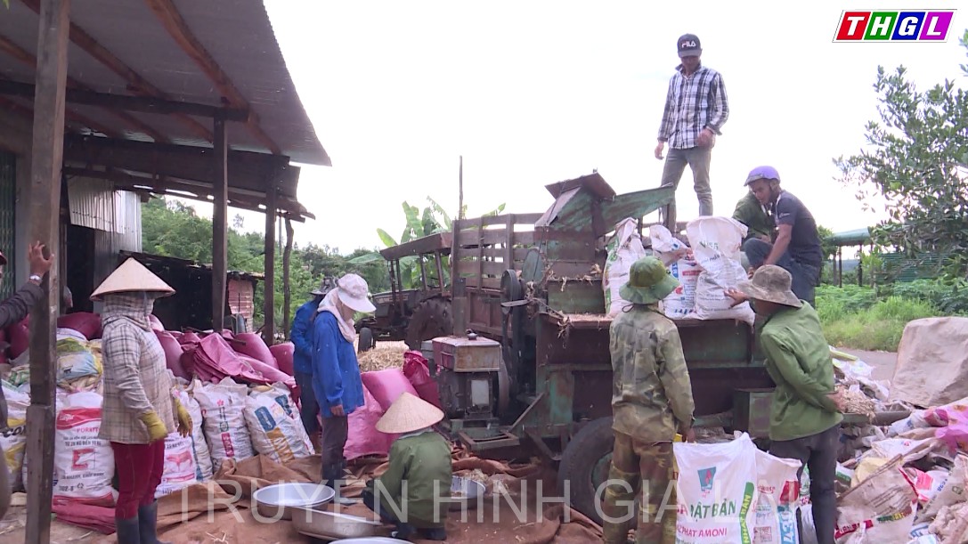 Mang Yang thành công khi xây dựng mô hình nông hội gắn với phát triển hợp tác xã kiểu mới