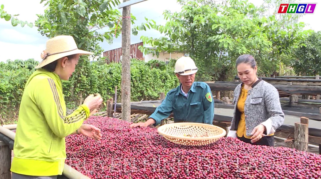 Phụ nữ xã Ia Băng, huyện Chư Prông với nhiều mô hình khởi nghiệp hiệu quả